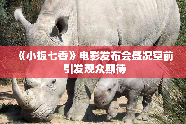 《小扳七香》电影发布会盛况空前 引发观众期待