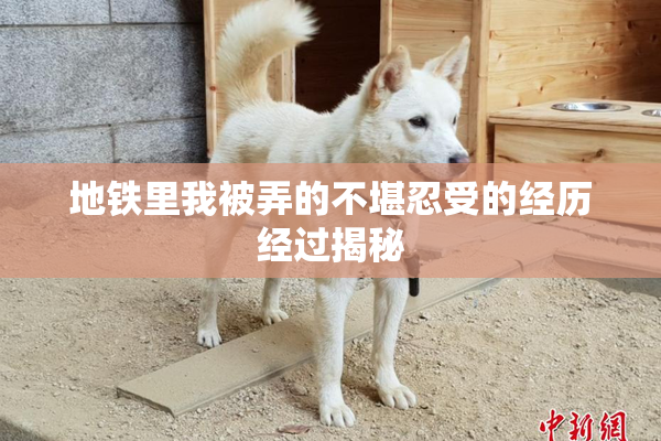 地铁里我被弄的不堪忍受的经历经过揭秘