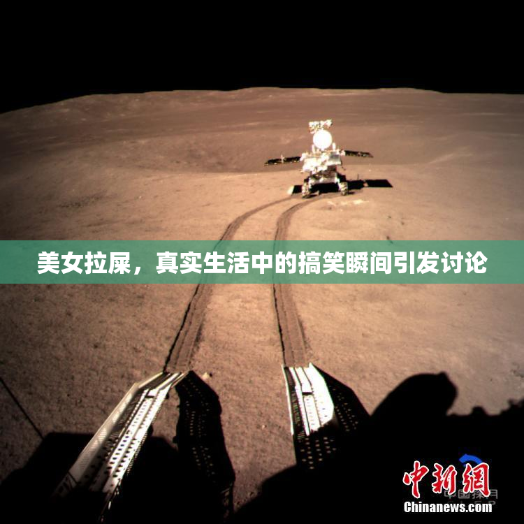 美女拉屎，真实生活中的搞笑瞬间引发讨论