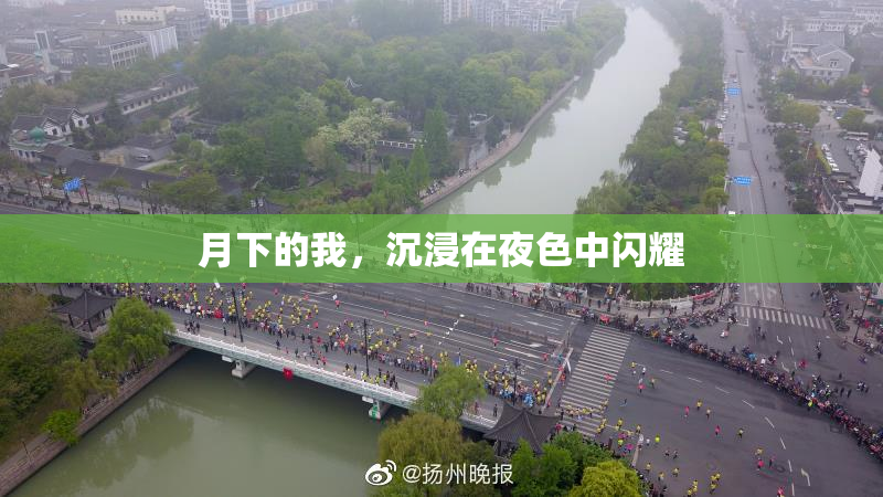 月下的我，沉浸在夜色中闪耀