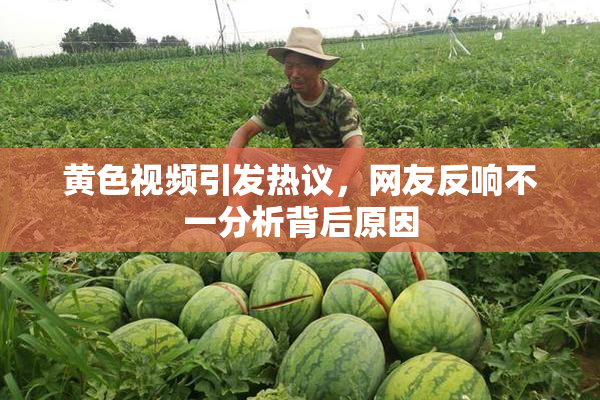 黄色视频引发热议，网友反响不一分析背后原因