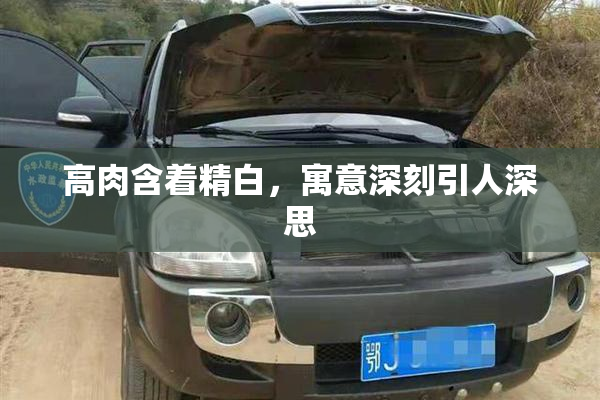 高肉含着精白，寓意深刻引人深思