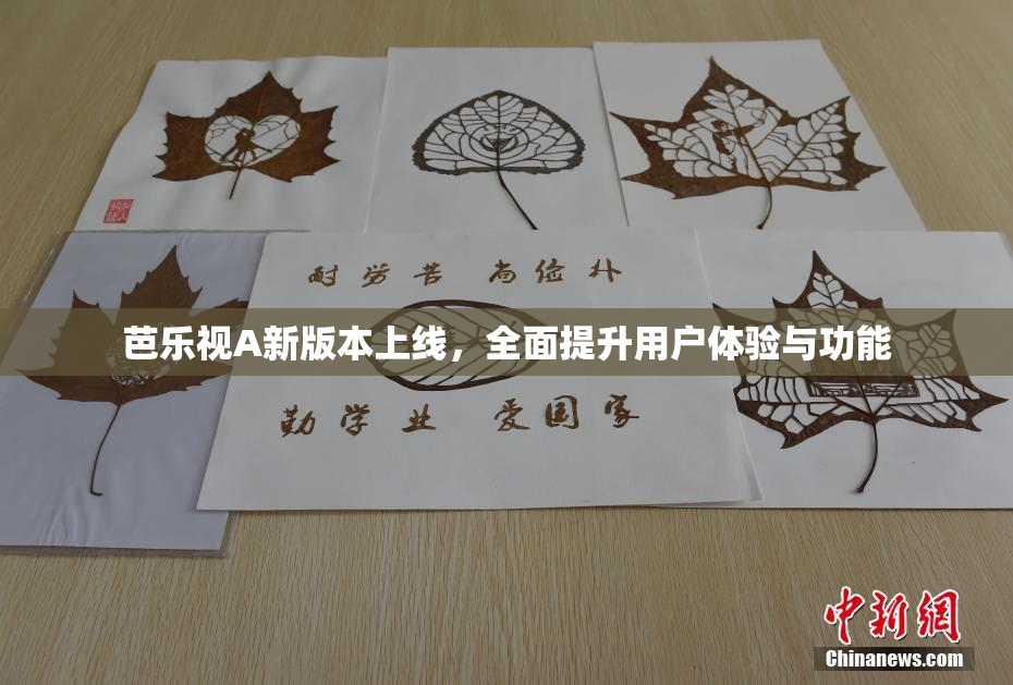 芭乐视A新版本上线，全面提升用户体验与功能