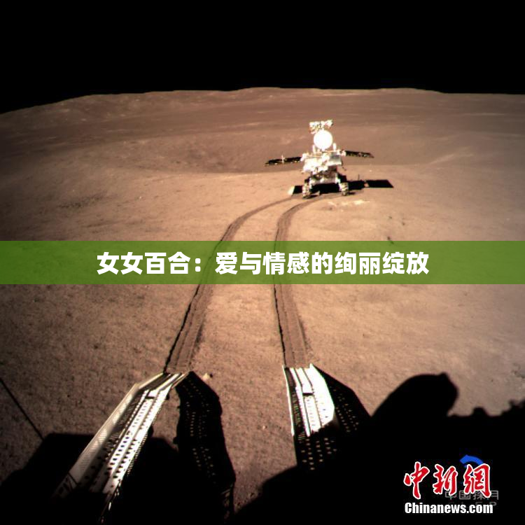 女女百合：爱与情感的绚丽绽放
