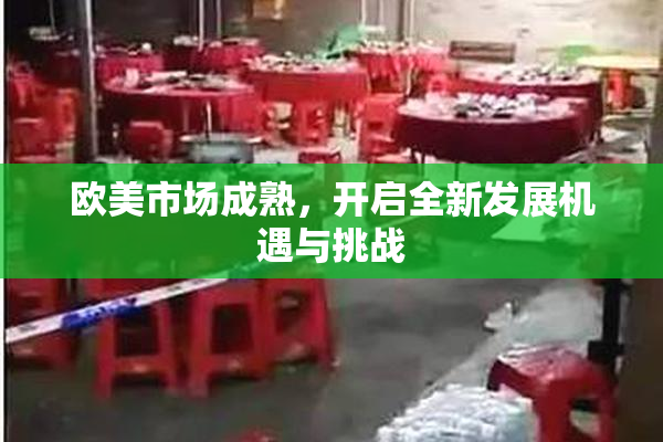 欧美市场成熟，开启全新发展机遇与挑战