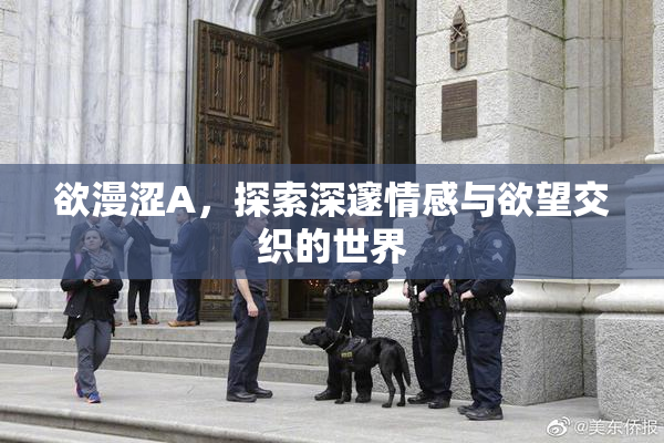 欲漫涩A，探索深邃情感与欲望交织的世界
