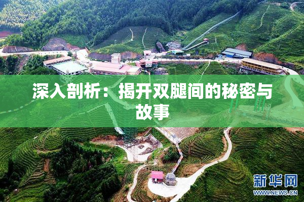 深入剖析：揭开双腿间的秘密与故事