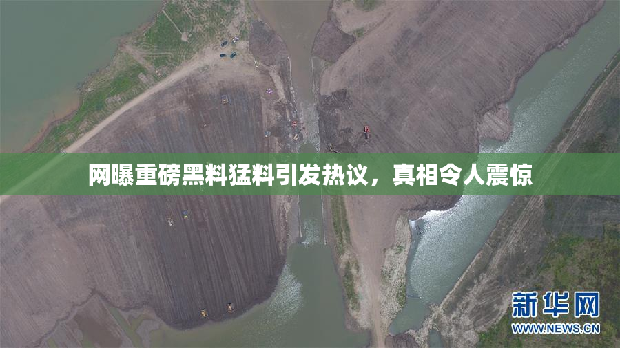 网曝重磅黑料猛料引发热议，真相令人震惊