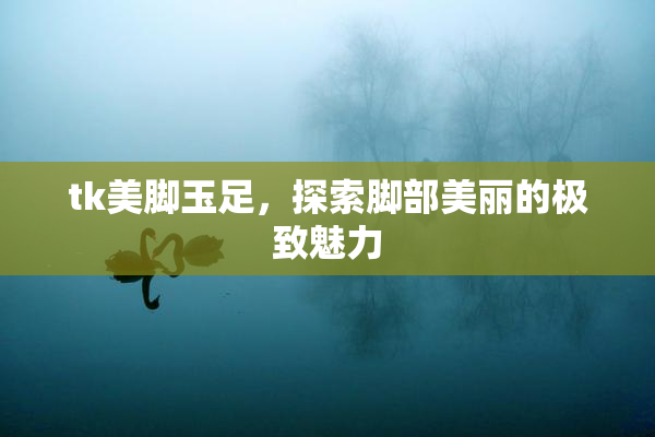 tk美脚玉足，探索脚部美丽的极致魅力