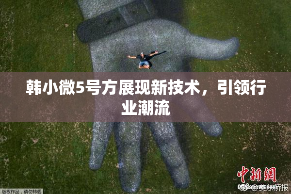 韩小微5号方展现新技术，引领行业潮流