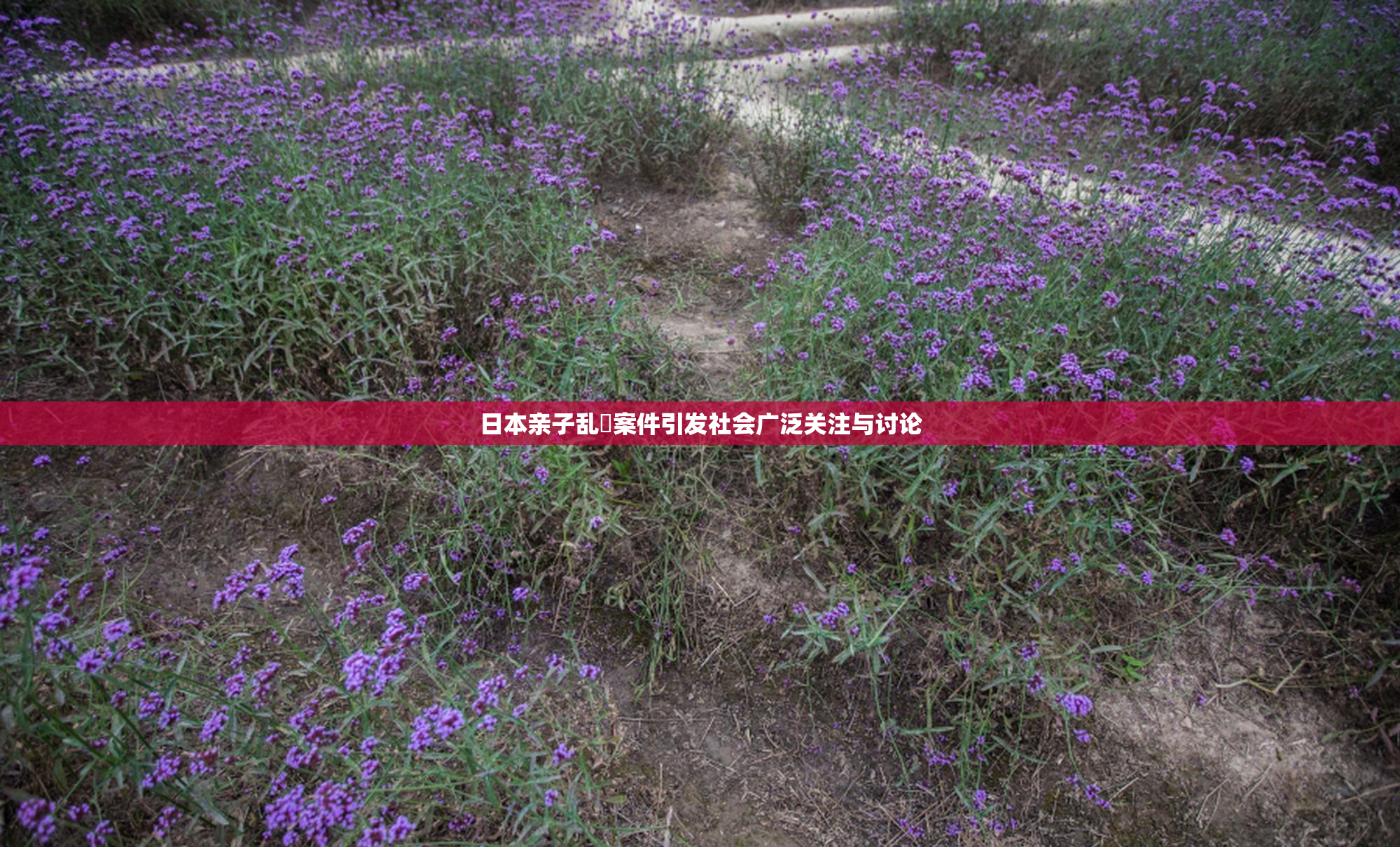 日本亲子乱婬案件引发社会广泛关注与讨论