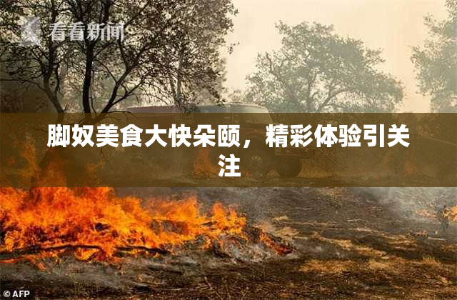 脚奴美食大快朵颐，精彩体验引关注
