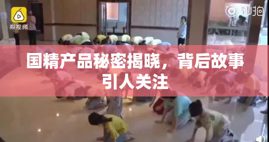 国精产品秘密揭晓，背后故事引人关注