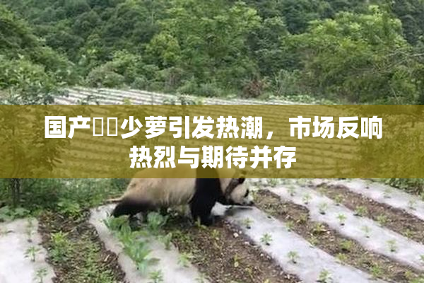 国产❌‌少萝引发热潮，市场反响热烈与期待并存