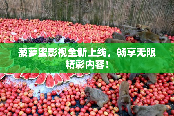 菠萝蜜影视全新上线，畅享无限精彩内容！