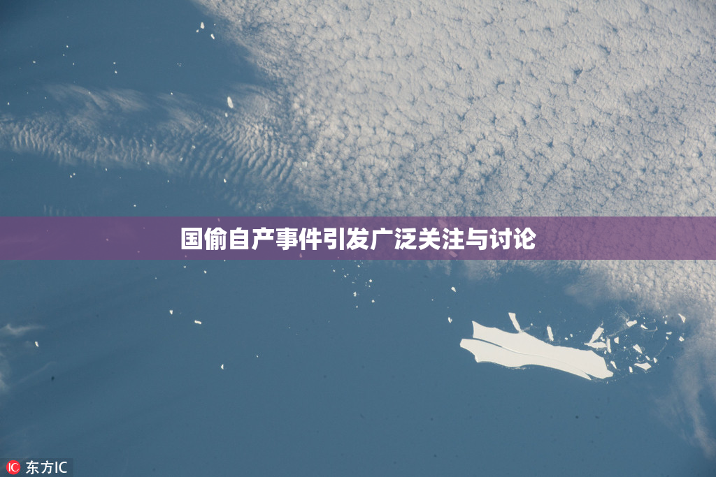 国偷自产事件引发广泛关注与讨论