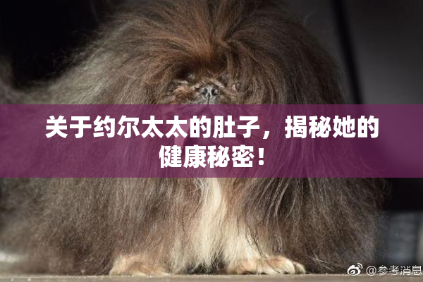 关于约尔太太的肚子，揭秘她的健康秘密！