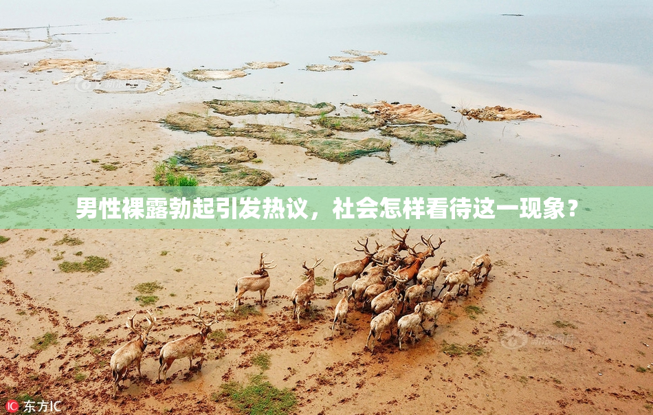 男性裸露勃起引发热议，社会怎样看待这一现象？
