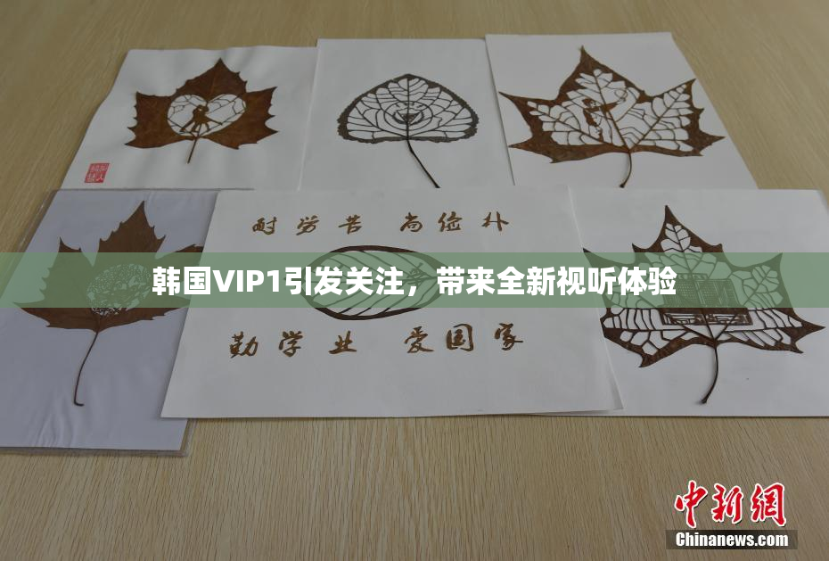 韩国VIP1引发关注，带来全新视听体验