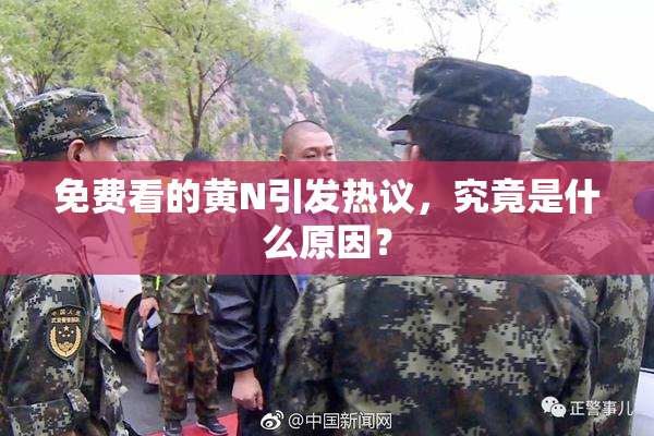 免费看的黄Ν引发热议，究竟是什么原因？