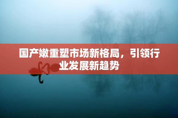 国产嫩重塑市场新格局，引领行业发展新趋势