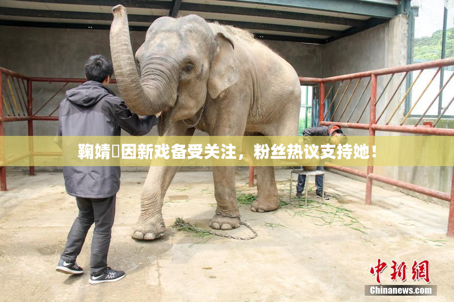 鞠婧祎因新戏备受关注，粉丝热议支持她！