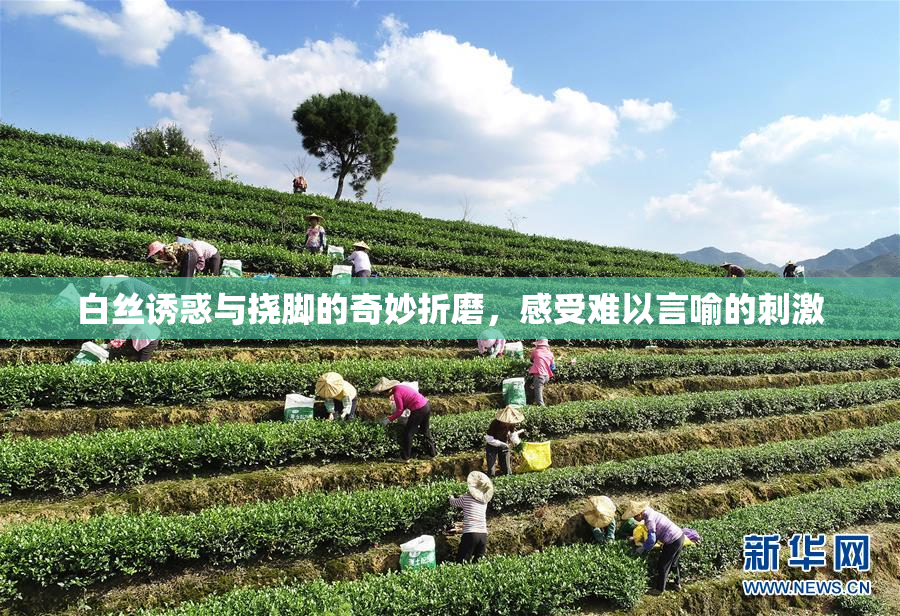 白丝诱惑与挠脚的奇妙折磨，感受难以言喻的刺激