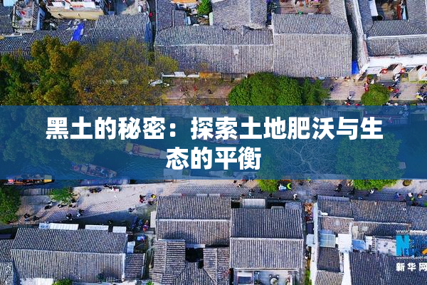 黑土的秘密：探索土地肥沃与生态的平衡