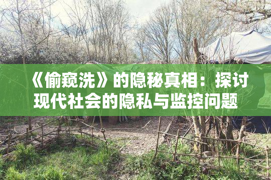 《偷窥洗》的隐秘真相：探讨现代社会的隐私与监控问题
