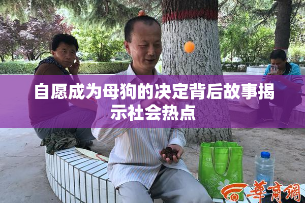 自愿成为母狗的决定背后故事揭示社会热点