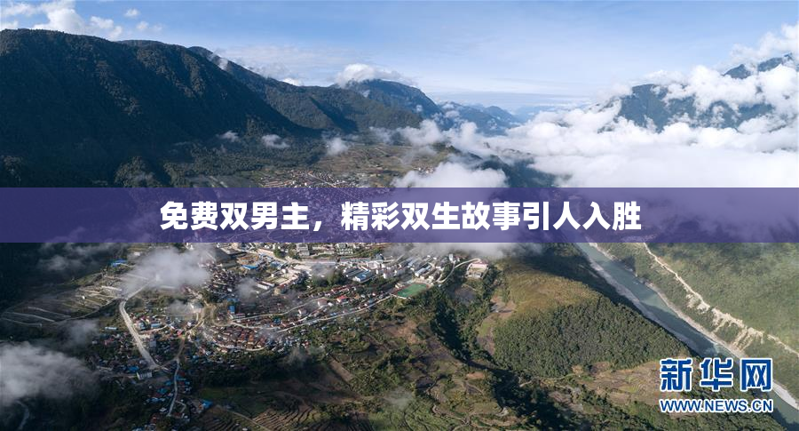 免费双男主，精彩双生故事引人入胜