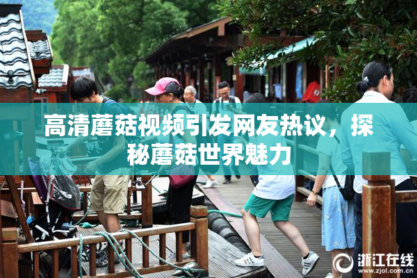 高清蘑菇视频引发网友热议，探秘蘑菇世界魅力