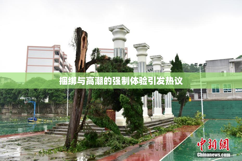 捆绑与高潮的强制体验引发热议