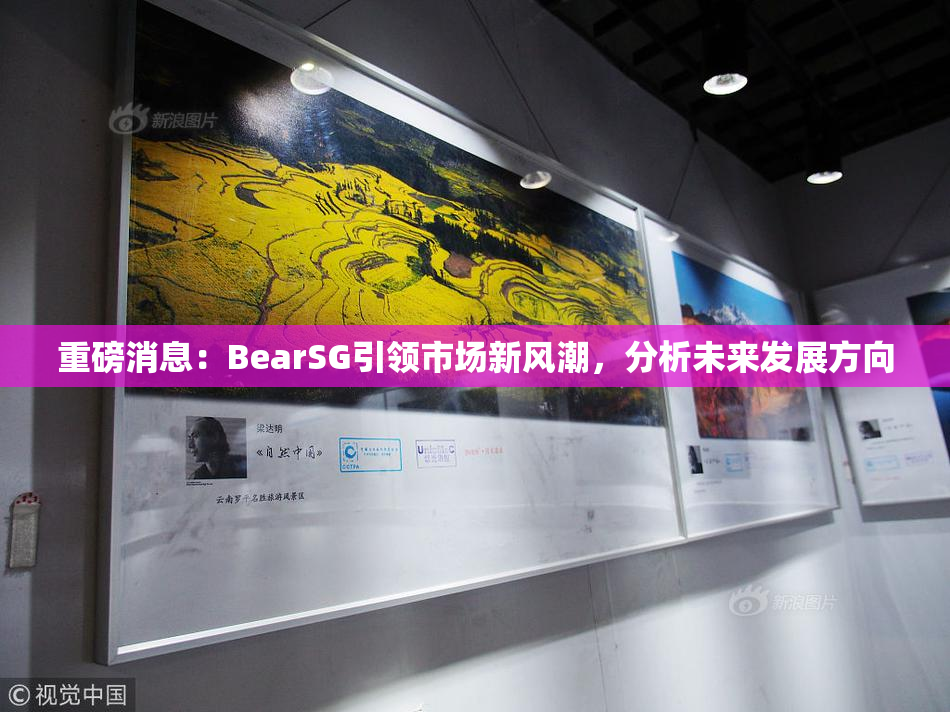 重磅消息：BearSG引领市场新风潮，分析未来发展方向