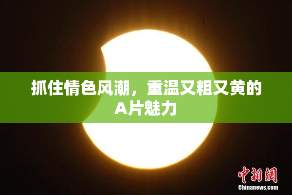抓住情色风潮，重温又粗又黄的A片魅力