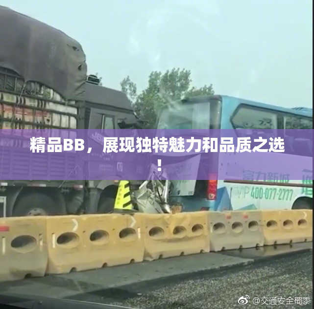 精品BB，展现独特魅力和品质之选！