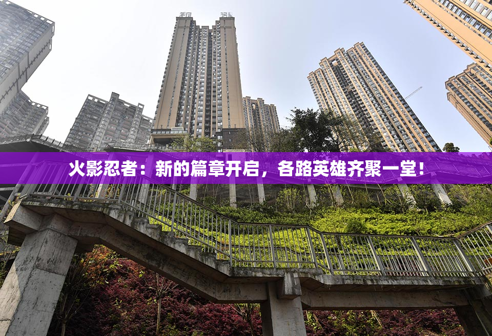 火影忍者：新的篇章开启，各路英雄齐聚一堂！