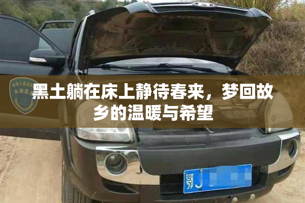 黑土躺在床上静待春来，梦回故乡的温暖与希望
