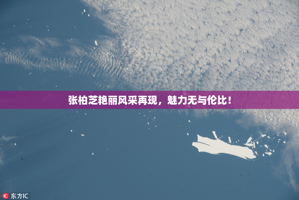 张柏芝艳丽风采再现，魅力无与伦比！