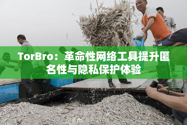 TorBro：革命性网络工具提升匿名性与隐私保护体验