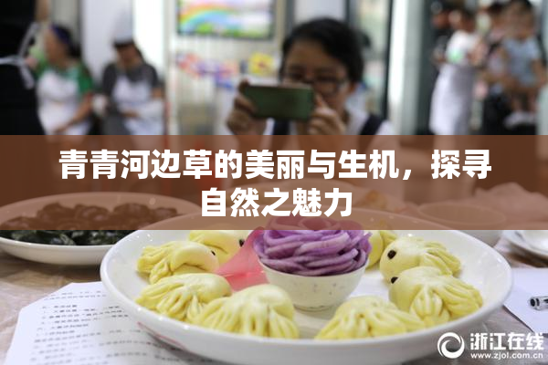 青青河边草的美丽与生机，探寻自然之魅力