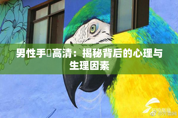 男性手婬高清：揭秘背后的心理与生理因素