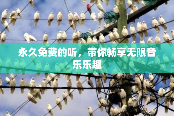 永久免费的听，带你畅享无限音乐乐趣