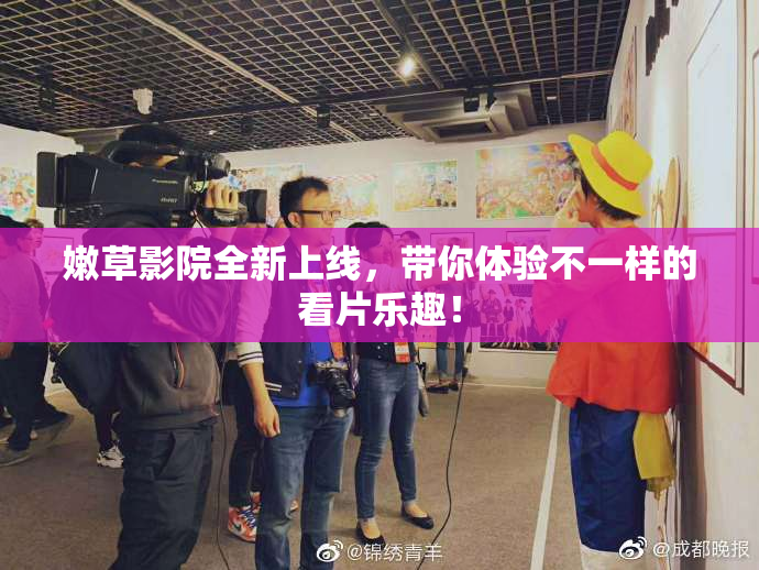 嫩草影院全新上线，带你体验不一样的看片乐趣！