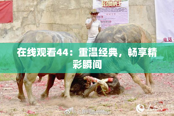在线观看44：重温经典，畅享精彩瞬间