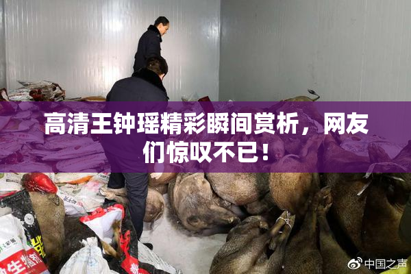 高清王钟瑶精彩瞬间赏析，网友们惊叹不已！