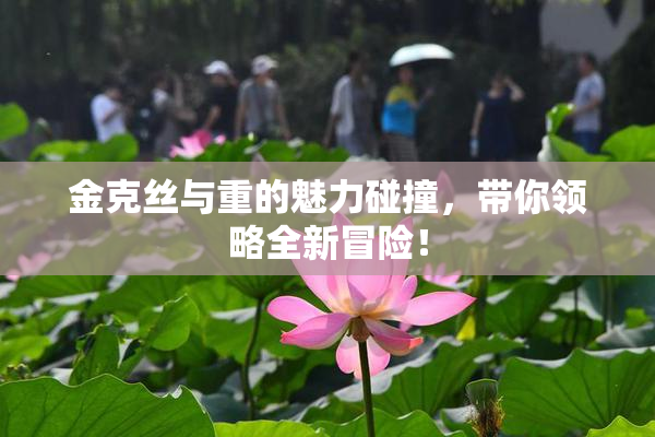 金克丝与重的魅力碰撞，带你领略全新冒险！