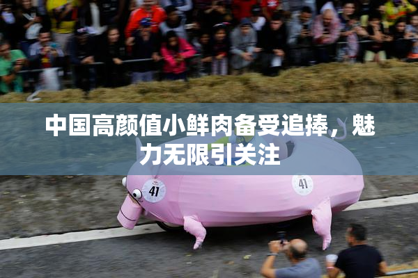 中国高颜值小鲜肉备受追捧，魅力无限引关注