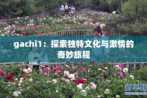 gachi1：探索独特文化与激情的奇妙旅程
