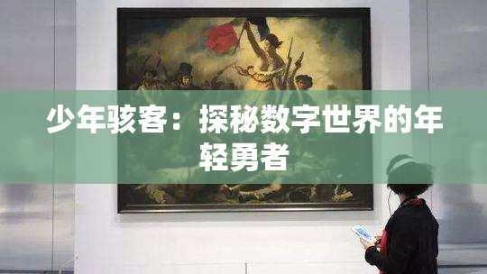 少年骇客：探秘数字世界的年轻勇者